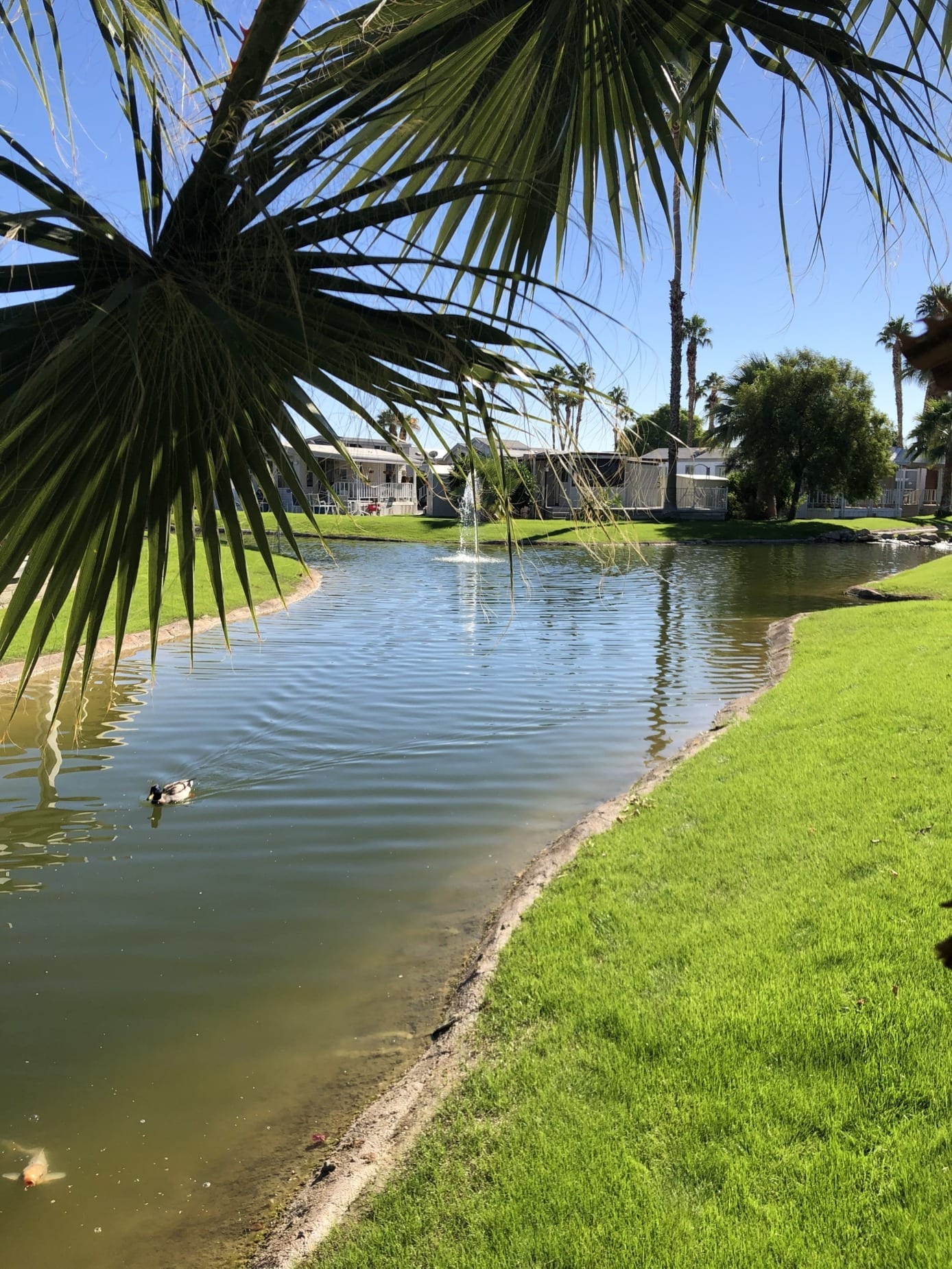Benefits of Spending the Winter in the Palm Springs Area